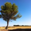 Ascenso al Campichuelo desde el Cabriel